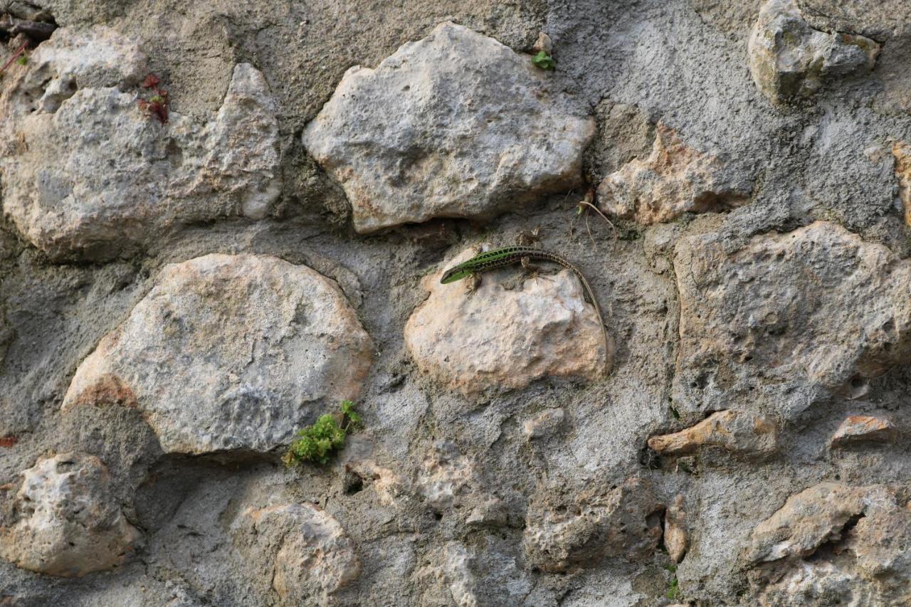 בית הארחה Casole dʼElsa 	Il Fienile Nella Roccia מראה חיצוני תמונה